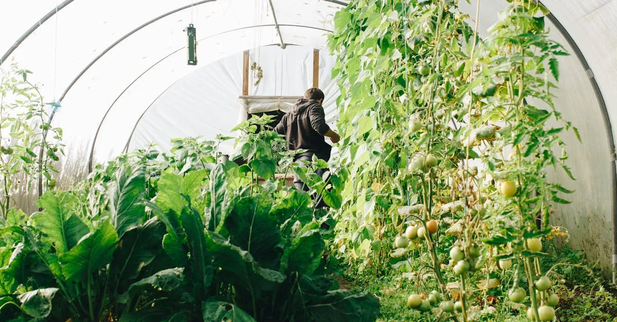 découvrez notre ferme écologique engagée dans des pratiques durables pour préserver la biodiversité et offrir des produits naturels de qualité.
