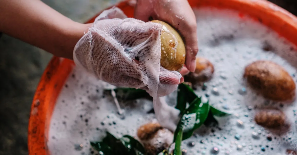 conseils et techniques pour la plantation de pommes de terre afin d’optimiser votre récolte et obtenir des tubercules de qualité.