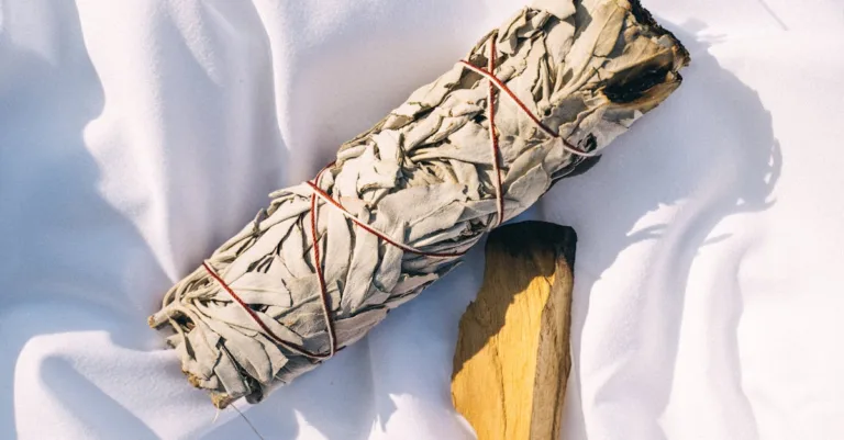 découvrez les bienfaits du brûlage de sauge, une pratique ancestrale pour purifier l'air et harmoniser votre espace.