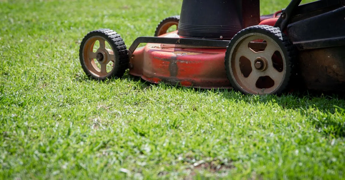 service de tonte de pelouse disponible le lundi de pentecôte pour un jardin impeccable en ce jour férié.