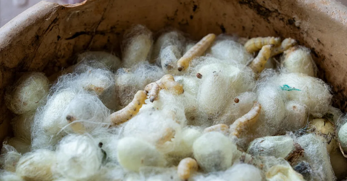 découvrez tout sur les larves de mouches, communément appelées asticots : leur rôle, leur habitat et leur utilisation.