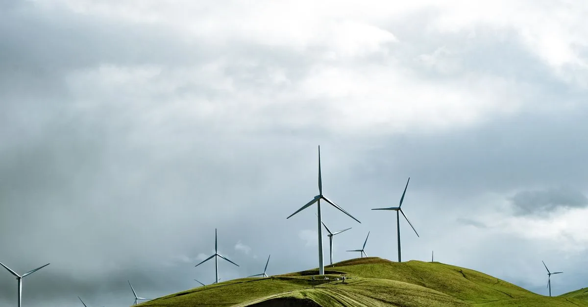 découvrez les réglementations environnementales essentielles pour la protection de la nature et la conformité juridique. informez-vous sur les lois et normes en vigueur.