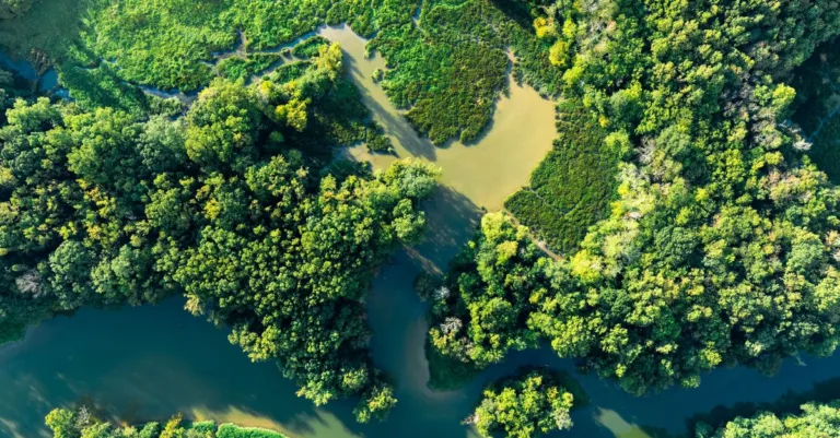 découvrez les réglementations environnementales essentielles pour protéger notre planète et assurer un développement durable respectueux de l'environnement.