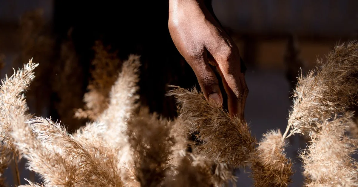 découvrez les raisons et les implications de l'interdiction des herbes de la pampa en france, ainsi que les alternatives écologiques pour votre jardin.