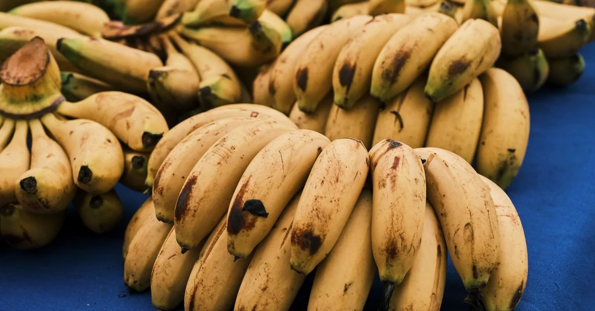 engrais spécialement formulé pour la culture de la banane, favorisant une croissance saine et une meilleure production de fruits.