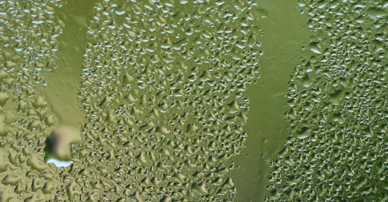 découvrez tout sur l'humidité : définition, impacts sur la santé et l'habitat, ainsi que des conseils pour mieux la contrôler au quotidien.
