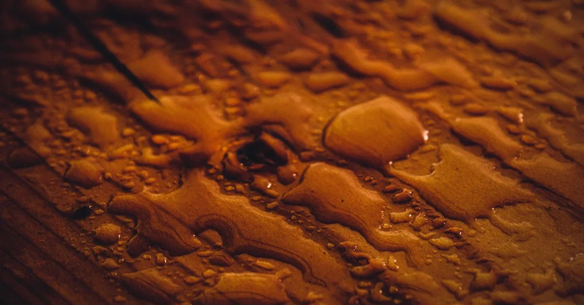 découvrez comment protéger le bois efficacement avec un mélange de térébenthine et d'huile de lin pour une finition durable et naturelle.
