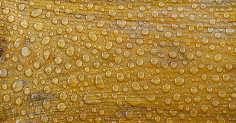 protégez efficacement le bois grâce à un mélange naturel de térébenthine et d'huile de lin, pour une finition durable et résistante.
