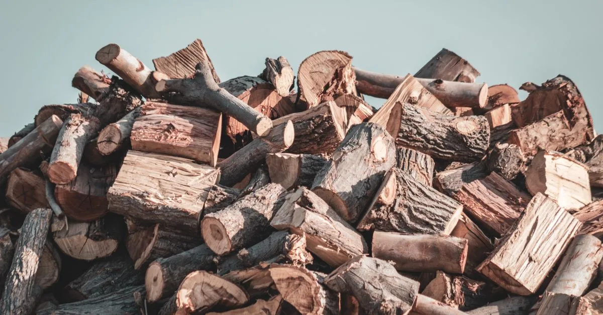 découvrez les prix du bois de chauffage pour bien préparer votre hiver. comparez les tarifs et trouvez le meilleur rapport qualité-prix.