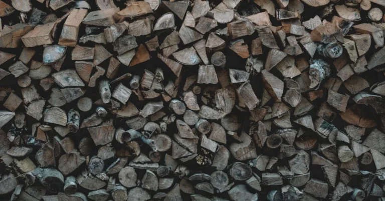 découvrez les prix du bois de chauffage, des conseils d'achat et des astuces pour économiser sur votre approvisionnement en bois pour l'hiver.