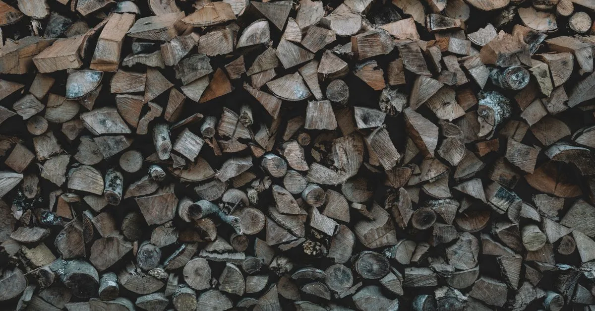 découvrez les prix du bois de chauffage, des conseils d'achat et des astuces pour économiser sur votre approvisionnement en bois pour l'hiver.