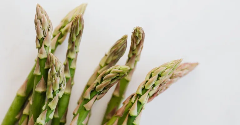 découvrez comment identifier la toxicité des asperges sauvages et éviter les risques liés à leur consommation grâce à nos conseils pratiques.