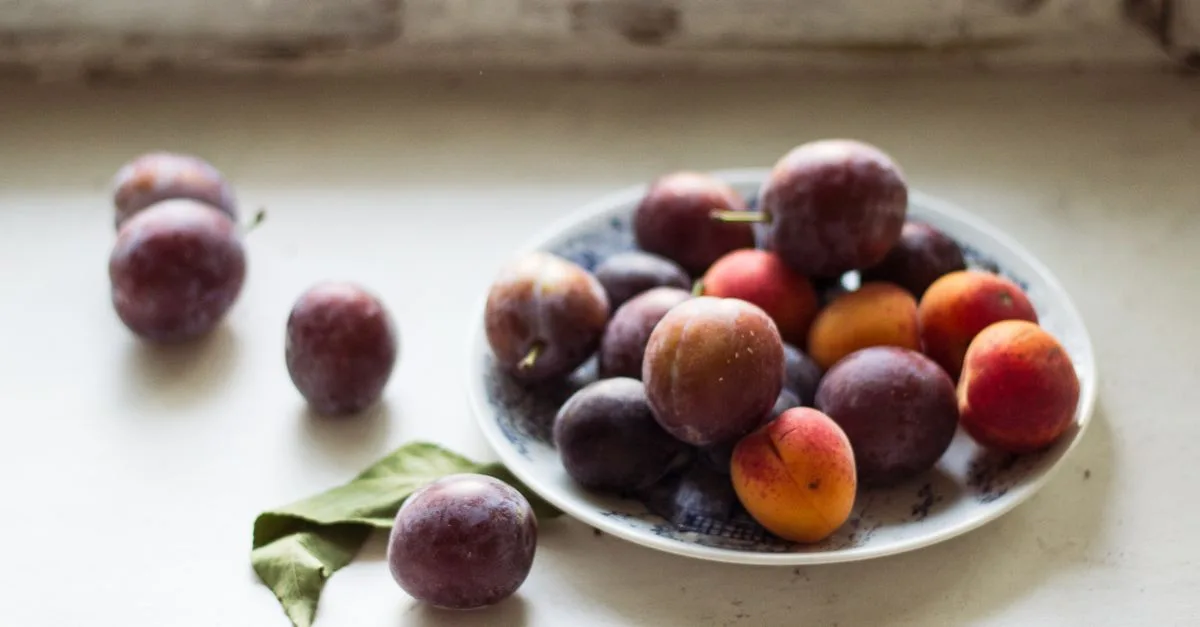 découvrez la prune sauvage, un fruit naturel au goût unique, riche en vitamines et parfait pour vos recettes gourmandes et santé.